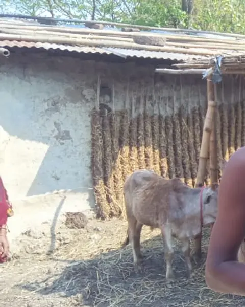 Photo of Window for Christ’s missionary work